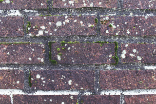 Illustration for article titled Just What Property Owners Need to Know Concerning Tuckpointing as Well as Their Chimney